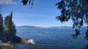 ./images/koeye/fitz-hugh/20260531/fitz-hugh20260531_125001M.jpg