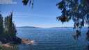 ./images/koeye/fitz-hugh/20260531/fitz-hugh20260531_125501M.jpg