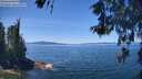 ./images/koeye/fitz-hugh/20260531/fitz-hugh20260531_130001M.jpg