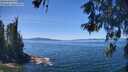 ./images/koeye/fitz-hugh/20260531/fitz-hugh20260531_130501M.jpg