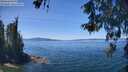 ./images/koeye/fitz-hugh/20260531/fitz-hugh20260531_131501M.jpg
