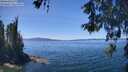./images/koeye/fitz-hugh/20260531/fitz-hugh20260531_132502M.jpg