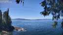 ./images/koeye/fitz-hugh/20260531/fitz-hugh20260531_133002M.jpg