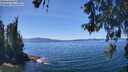 ./images/koeye/fitz-hugh/20260531/fitz-hugh20260531_134001M.jpg