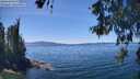 ./images/koeye/fitz-hugh/20260531/fitz-hugh20260531_134501M.jpg