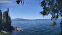 ./images/koeye/fitz-hugh/20260531/fitz-hugh20260531_135002M.jpg
