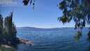 ./images/koeye/fitz-hugh/20260531/fitz-hugh20260531_135501M.jpg