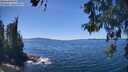 ./images/koeye/fitz-hugh/20260531/fitz-hugh20260531_140001M.jpg