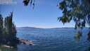 ./images/koeye/fitz-hugh/20260531/fitz-hugh20260531_140501M.jpg