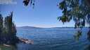 ./images/koeye/fitz-hugh/20260531/fitz-hugh20260531_141001M.jpg