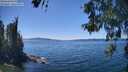 ./images/koeye/fitz-hugh/20260531/fitz-hugh20260531_141502M.jpg