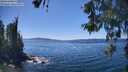 ./images/koeye/fitz-hugh/20260531/fitz-hugh20260531_142002M.jpg