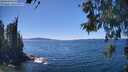 ./images/koeye/fitz-hugh/20260531/fitz-hugh20260531_142501M.jpg