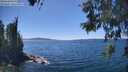 ./images/koeye/fitz-hugh/20260531/fitz-hugh20260531_143001M.jpg