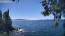 ./images/koeye/fitz-hugh/20260531/fitz-hugh20260531_143501M.jpg