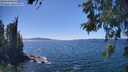 ./images/koeye/fitz-hugh/20260531/fitz-hugh20260531_144001M.jpg