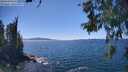 ./images/koeye/fitz-hugh/20260531/fitz-hugh20260531_144501M.jpg