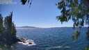 ./images/koeye/fitz-hugh/20260531/fitz-hugh20260531_145001M.jpg
