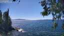 ./images/koeye/fitz-hugh/20260531/fitz-hugh20260531_145501M.jpg