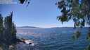 ./images/koeye/fitz-hugh/20260531/fitz-hugh20260531_150501M.jpg