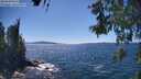 ./images/koeye/fitz-hugh/20260531/fitz-hugh20260531_151001M.jpg