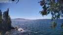 ./images/koeye/fitz-hugh/20260531/fitz-hugh20260531_151501M.jpg