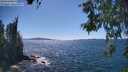 ./images/koeye/fitz-hugh/20260531/fitz-hugh20260531_152002M.jpg