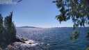 ./images/koeye/fitz-hugh/20260531/fitz-hugh20260531_152501M.jpg