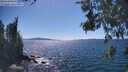 ./images/koeye/fitz-hugh/20260531/fitz-hugh20260531_153001M.jpg