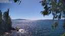 ./images/koeye/fitz-hugh/20260531/fitz-hugh20260531_153502M.jpg