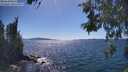 ./images/koeye/fitz-hugh/20260531/fitz-hugh20260531_154001M.jpg