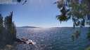 ./images/koeye/fitz-hugh/20260531/fitz-hugh20260531_154501M.jpg