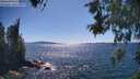 ./images/koeye/fitz-hugh/20260531/fitz-hugh20260531_155501M.jpg