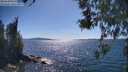 ./images/koeye/fitz-hugh/20260531/fitz-hugh20260531_160501M.jpg