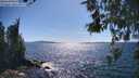 ./images/koeye/fitz-hugh/20260531/fitz-hugh20260531_162001M.jpg