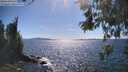 ./images/koeye/fitz-hugh/20260531/fitz-hugh20260531_162501M.jpg