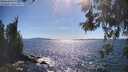 ./images/koeye/fitz-hugh/20260531/fitz-hugh20260531_163501M.jpg