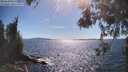 ./images/koeye/fitz-hugh/20260531/fitz-hugh20260531_164001M.jpg