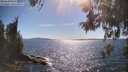 ./images/koeye/fitz-hugh/20260531/fitz-hugh20260531_165001M.jpg