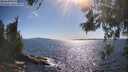 ./images/koeye/fitz-hugh/20260531/fitz-hugh20260531_171001M.jpg