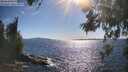 ./images/koeye/fitz-hugh/20260531/fitz-hugh20260531_171501M.jpg
