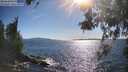 ./images/koeye/fitz-hugh/20260531/fitz-hugh20260531_173001M.jpg