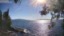 ./images/koeye/fitz-hugh/20260531/fitz-hugh20260531_173501M.jpg