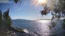 ./images/koeye/fitz-hugh/20260531/fitz-hugh20260531_174001M.jpg