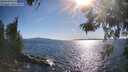 ./images/koeye/fitz-hugh/20260531/fitz-hugh20260531_174501M.jpg