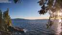 ./images/koeye/fitz-hugh/20260531/fitz-hugh20260531_203501M.jpg