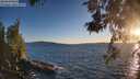 ./images/koeye/fitz-hugh/20260531/fitz-hugh20260531_204001M.jpg