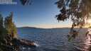 ./images/koeye/fitz-hugh/20260531/fitz-hugh20260531_204501M.jpg