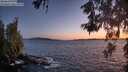 ./images/koeye/fitz-hugh/20260531/fitz-hugh20260531_220502M.jpg