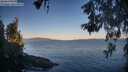 ./images/koeye/fitz-hugh/20260601/fitz-hugh20260601_061501M.jpg